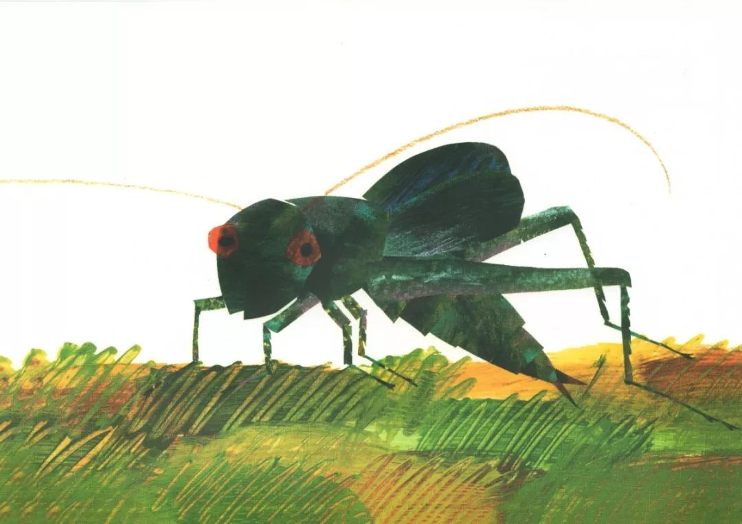 尚品睡前小故事theveryquietcricket安静的小蟋蟀