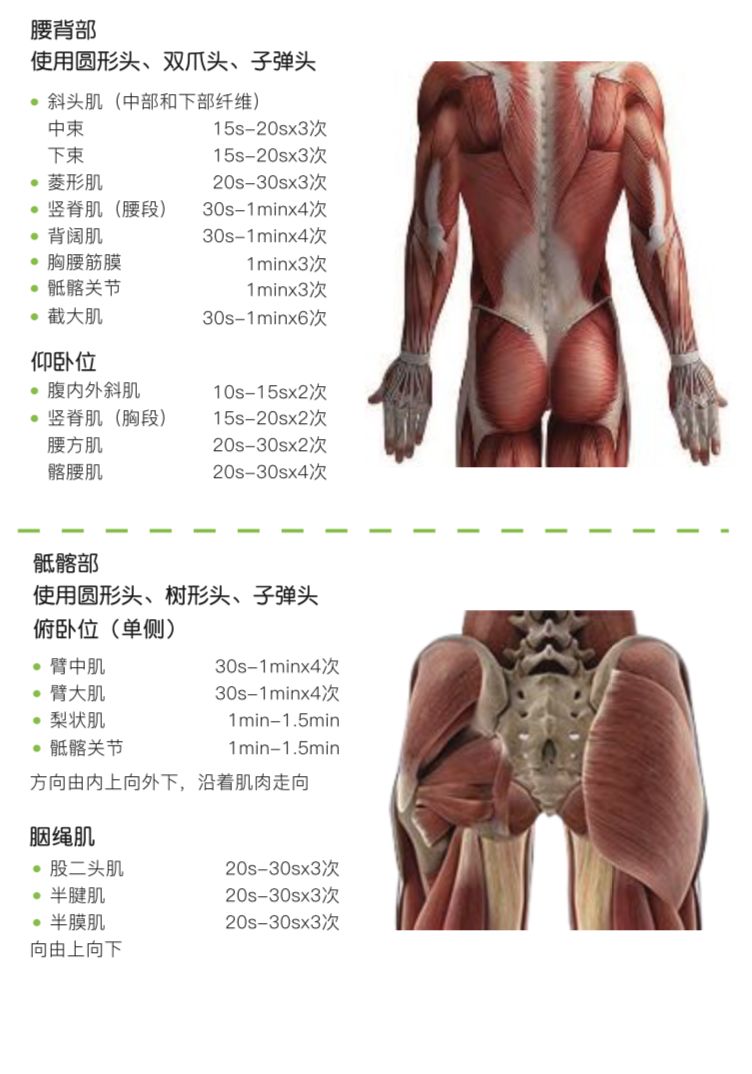 赛迦筋膜枪使用说明