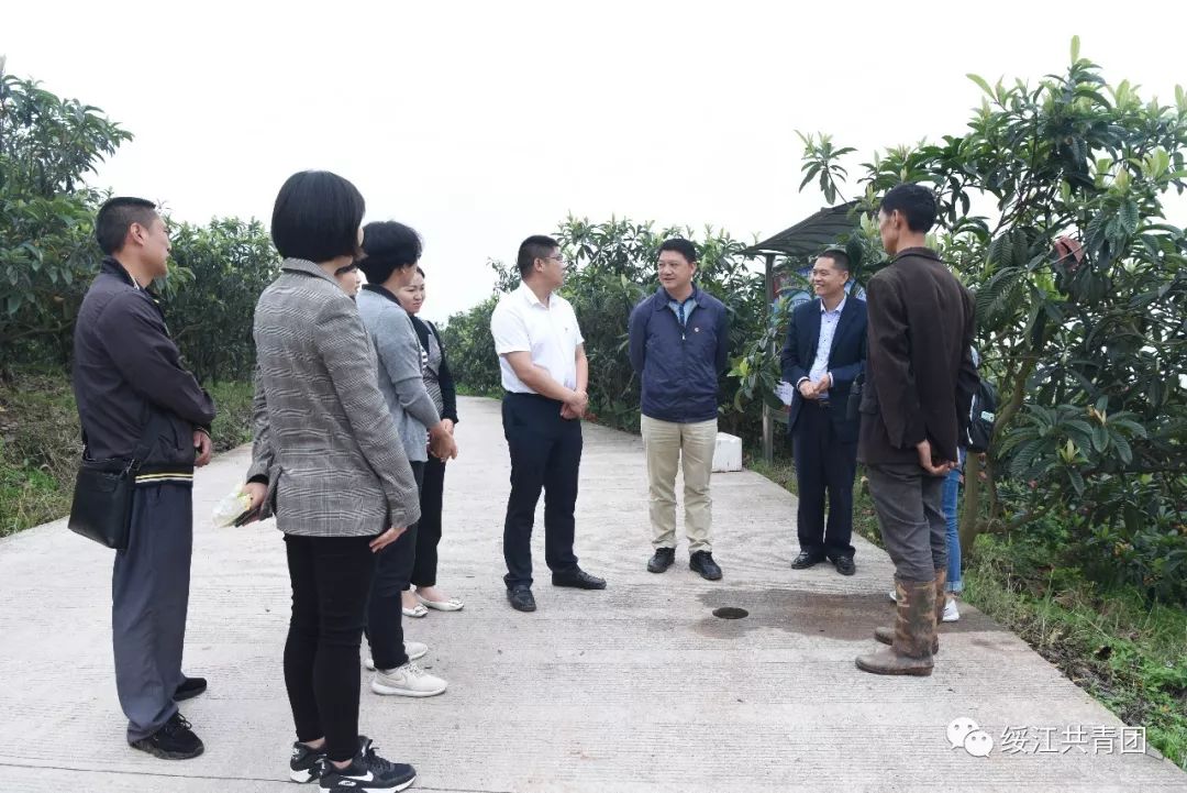 陈选良在绥江调研基层共青团工作