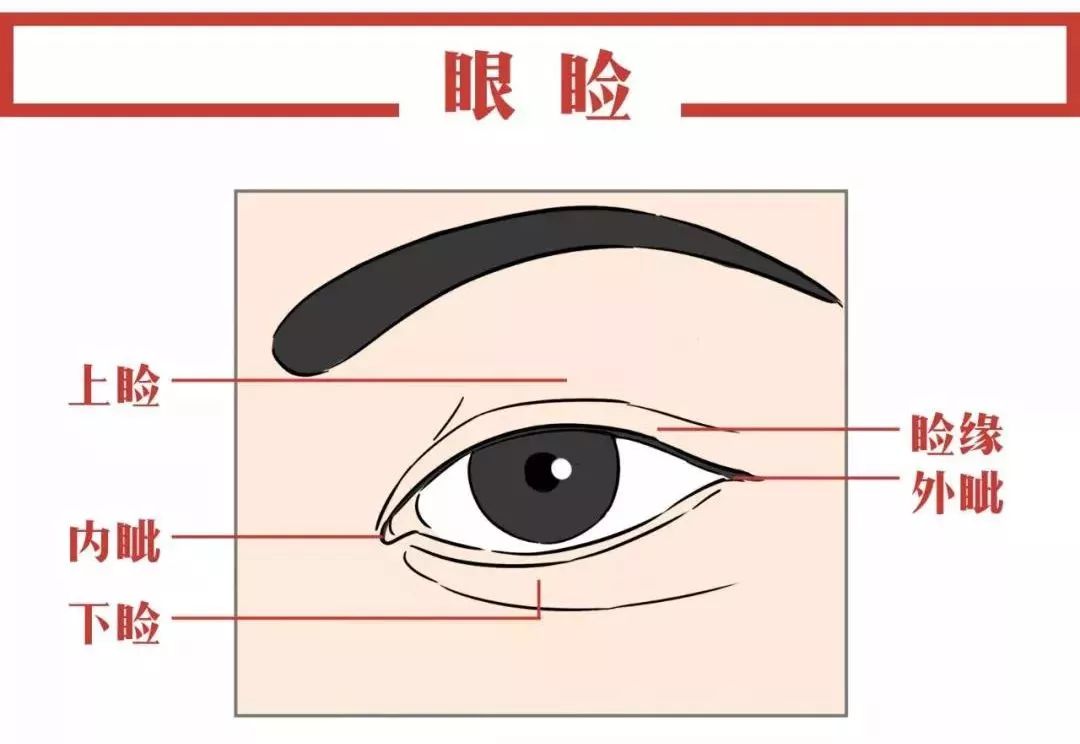 「下眼睑抽搐」下眼睑抽搐的原因及治疗