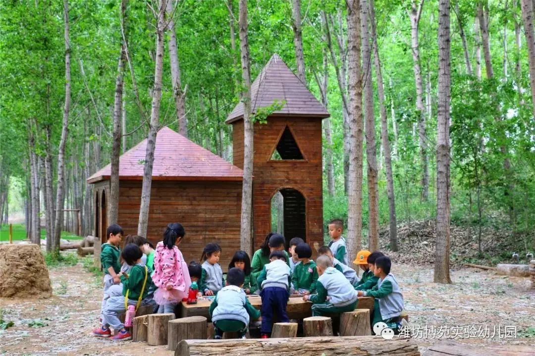 森林课堂治愈你的自然缺失症