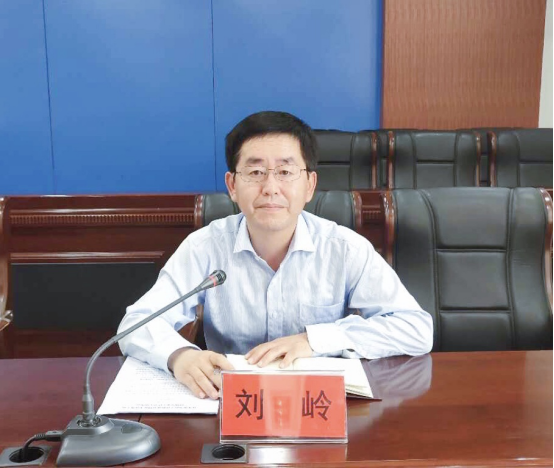 刘岭副区长作了总结讲话,要求与会单位认真贯彻落实本次会议精神.