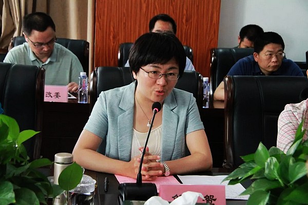 县长解鸳详细介绍了宜丰县情及产业优势.