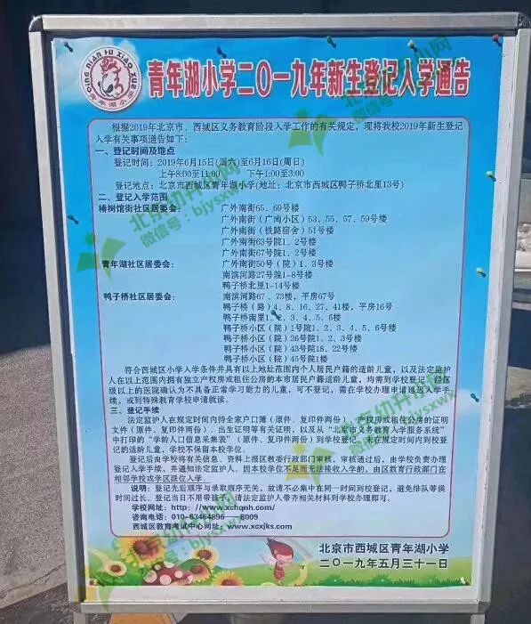 芳草地小学招生简章图片