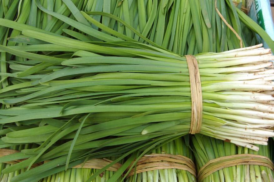 韭菜越长越细怎么办告诉你解决的办法