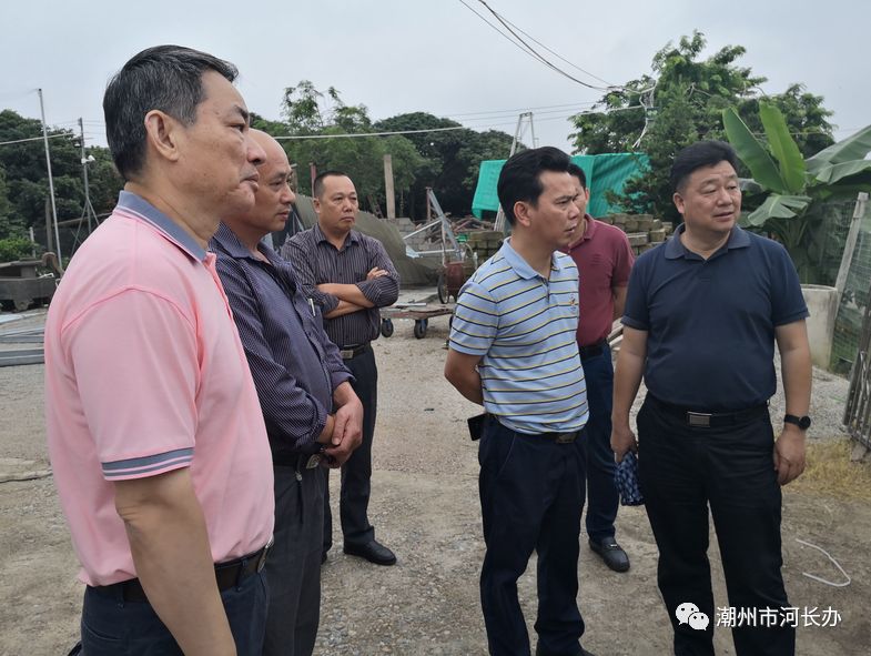 胡鹏一行先后前往凤新街道高厝塘村,磷溪镇顶厝洲村,实地督查河湖清