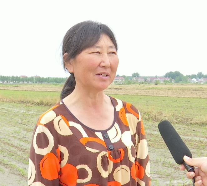 【热点】高石碑镇老堤村有一群小可爱集聚在这里