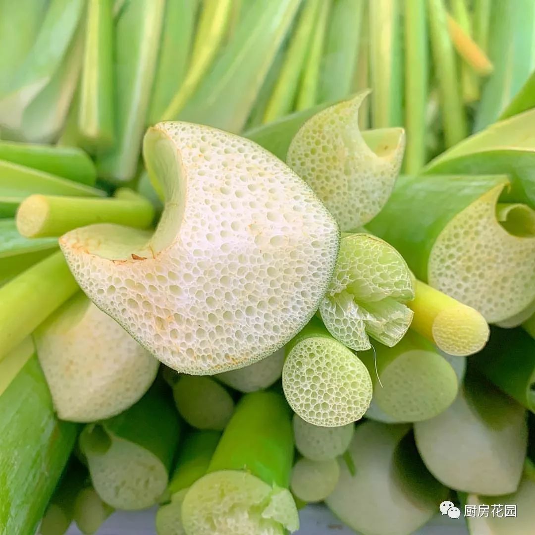厨房花园芡实梗大黄芋头杆及藕带
