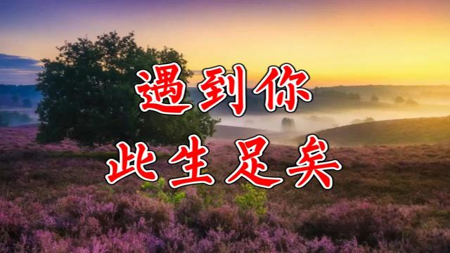 遇到你此生足矣感人美文