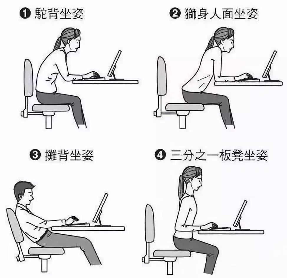 久坐不累缓解腰痛还能防驼背纠坐姿这款腰垫好用到炸