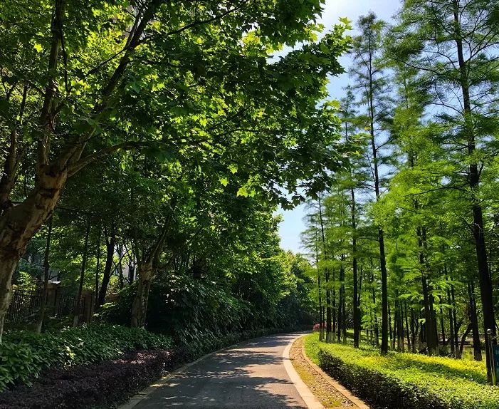 北塘河公园行走在萧山沙地文化中