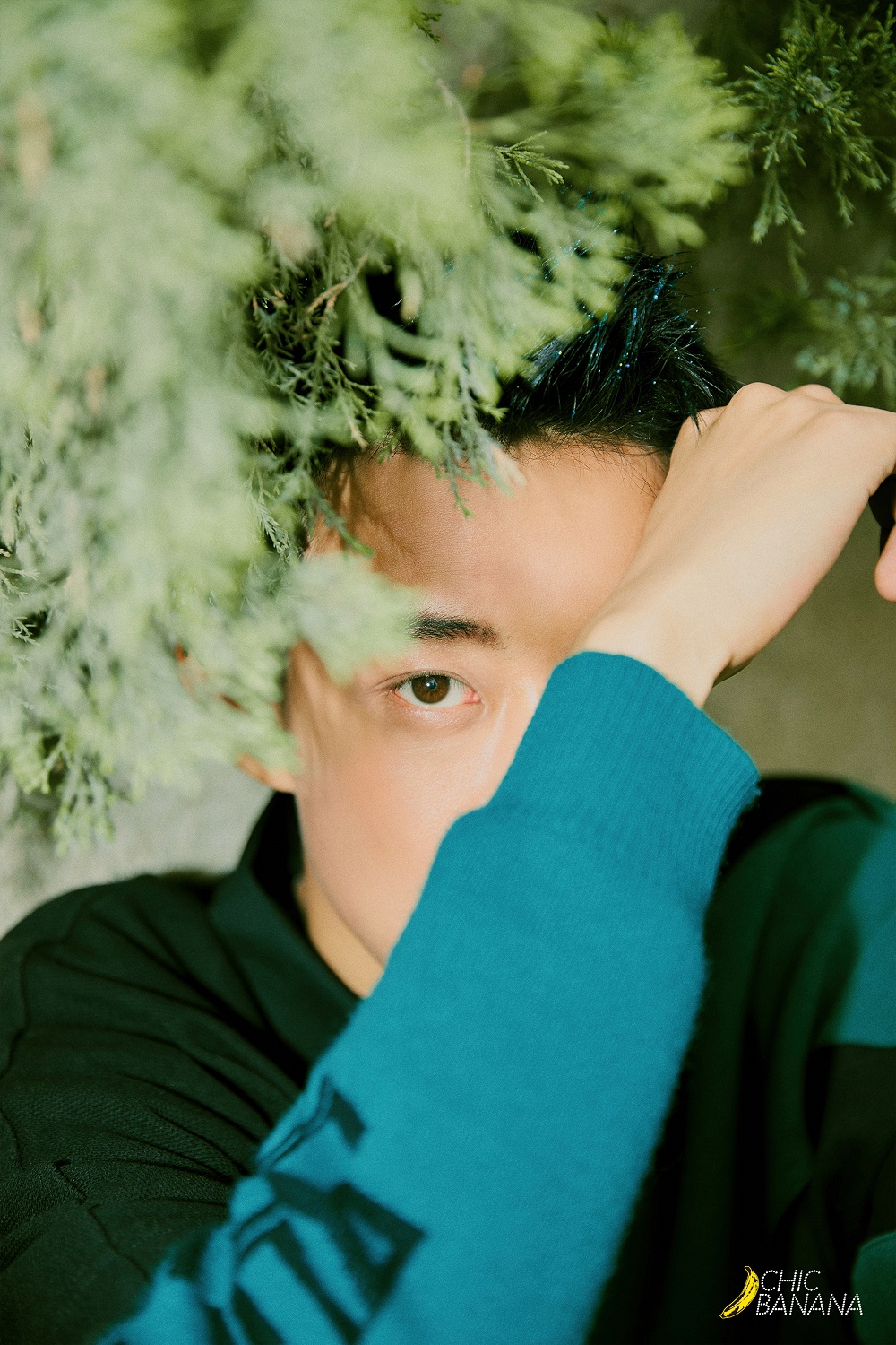 因在《致我们单纯的小美好》中饰演吴松柏一角而受到广泛关注的高至霆