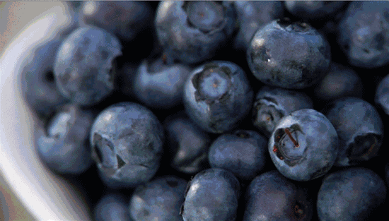 蓝莓熟啦象山最全采摘地图出炉周末走起