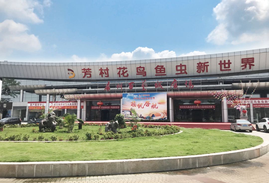 欢迎马来西亚孔雀鱼俱乐部莅临百艺城参观考察