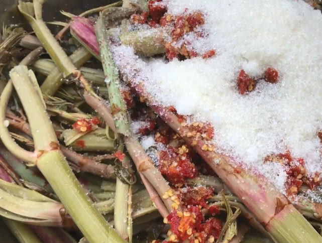 农村大妈摘一大把喇叭筒加辣椒白糖做成酸菜配稀饭最好了