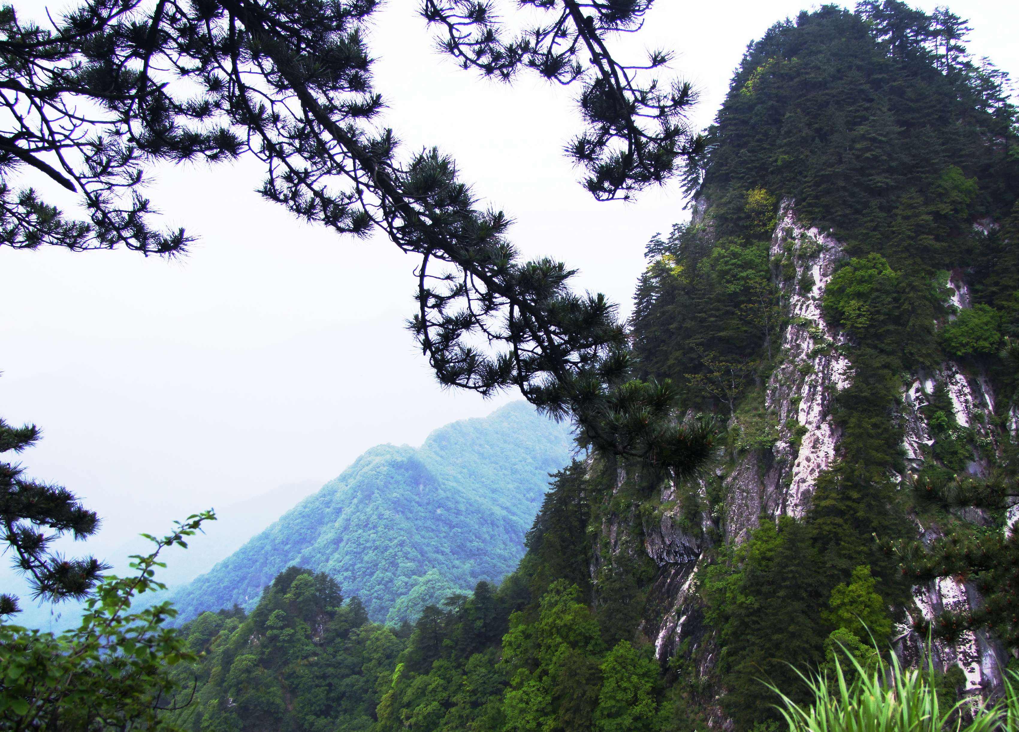 中国十大最美森林公园——宝天曼国家森林公园