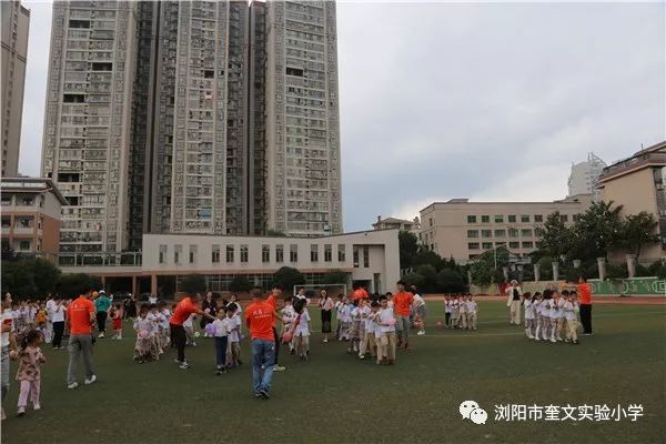 浏阳奎文小学图片