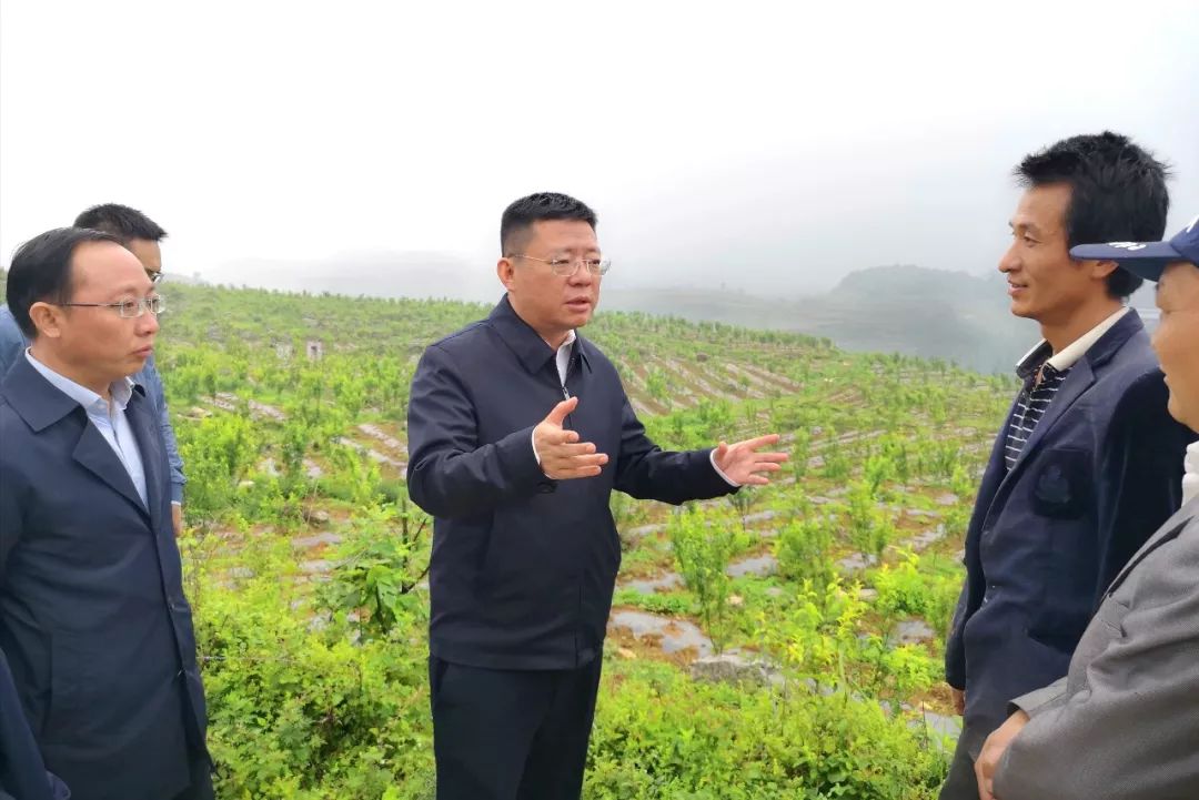 县委书记佘龙到理化乡调研脱贫攻坚时强调因势利导统筹谋划用好产业