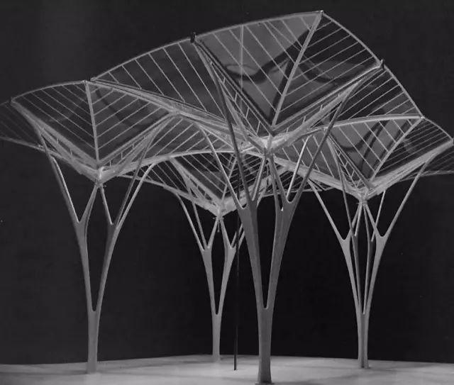 上海浦东机场t2航站楼,华东建筑设计总院三是分叉柱,树形柱,即将