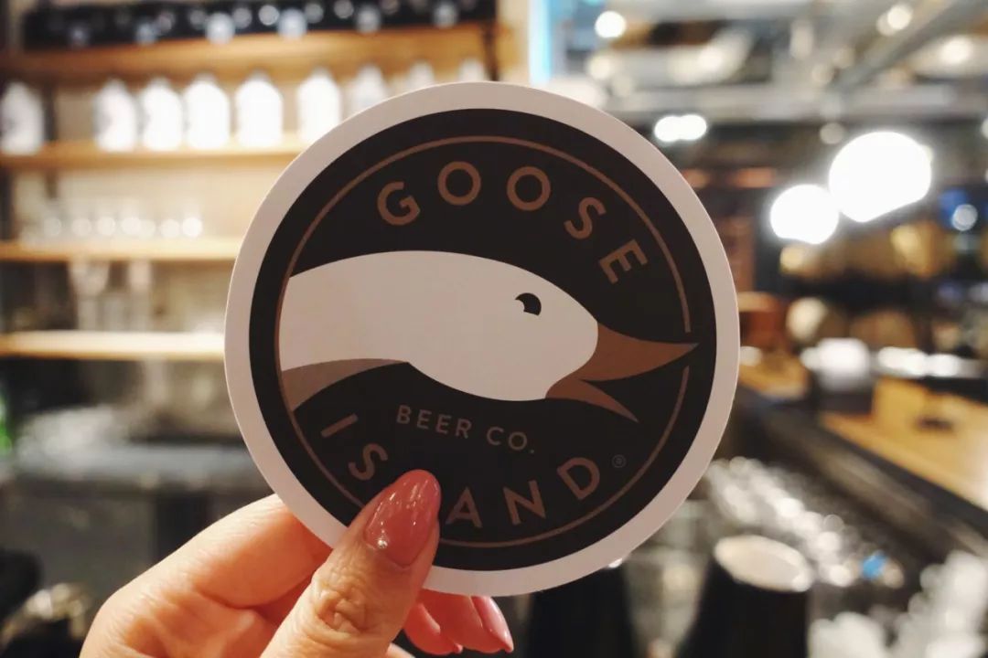 鹅岛gooseisland61儿童节释放你的好奇心