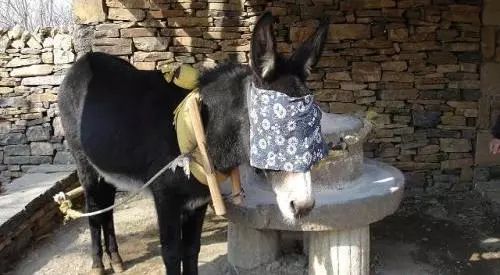 儿童节还记得童年的四季吗阎维文这首歌带你找回曾经的欢乐时光