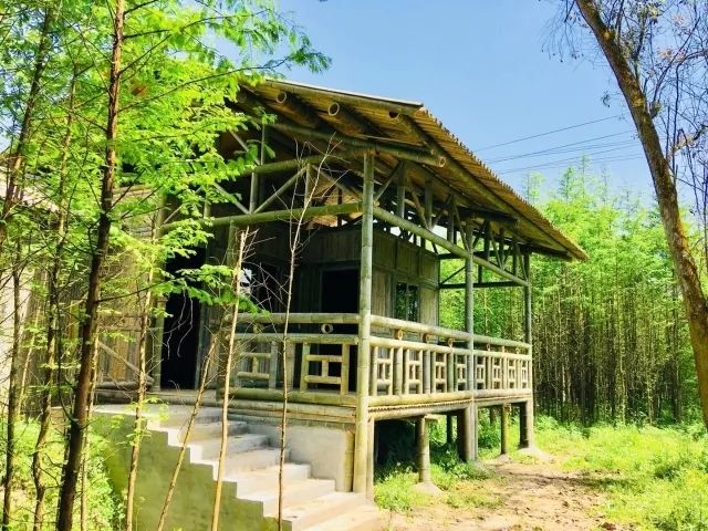 竹楼民宿——全竹制特色根雕艺术馆——升华的艺术名贵盆栽区——只可