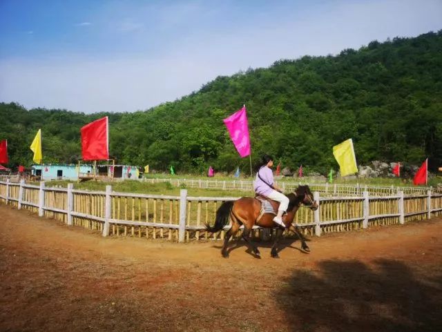 在矮人跑马场里,鼓励孩子策马扬鞭年幼的孩子还是有些胆怯面对威风