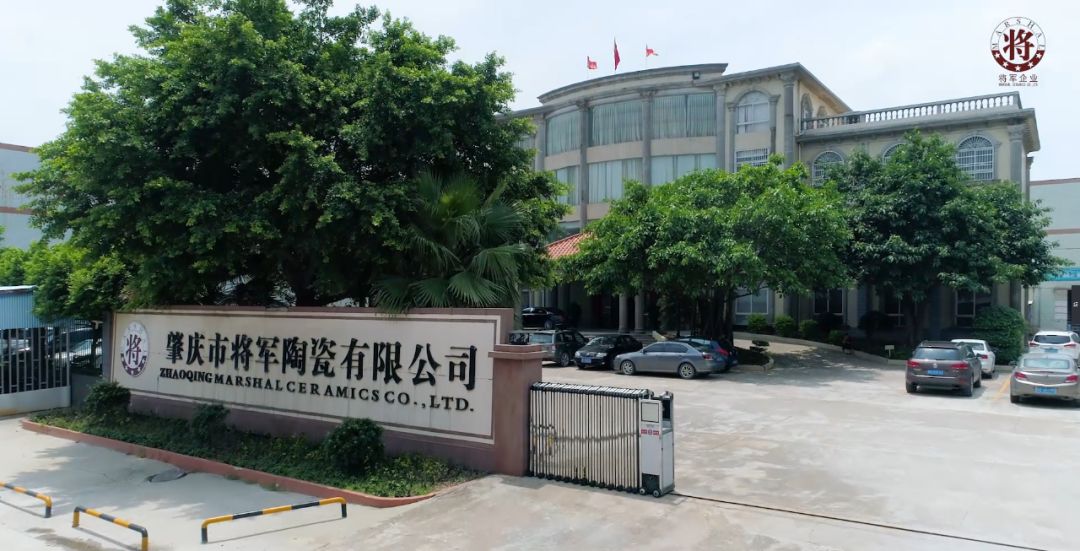 头条丨衡阳政府考察团莅临将军企业参观指导