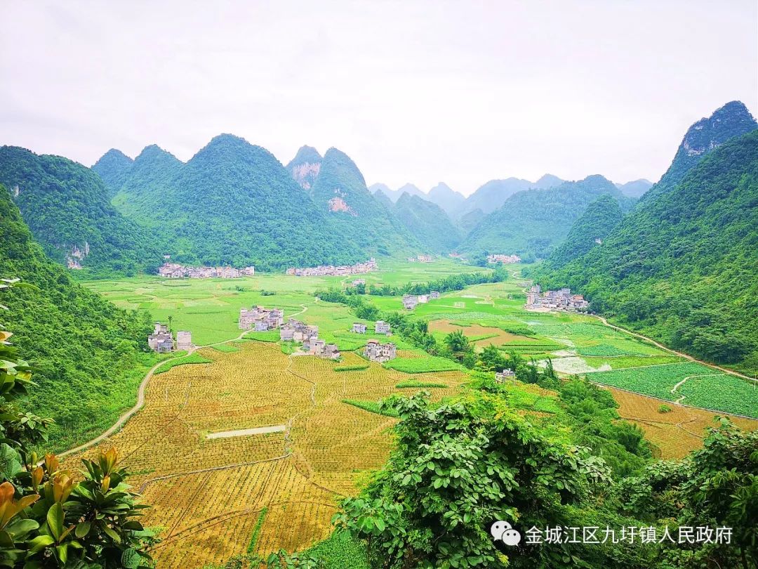 自治区文化和旅游厅专家到九圩镇指导旅游产业项目建设