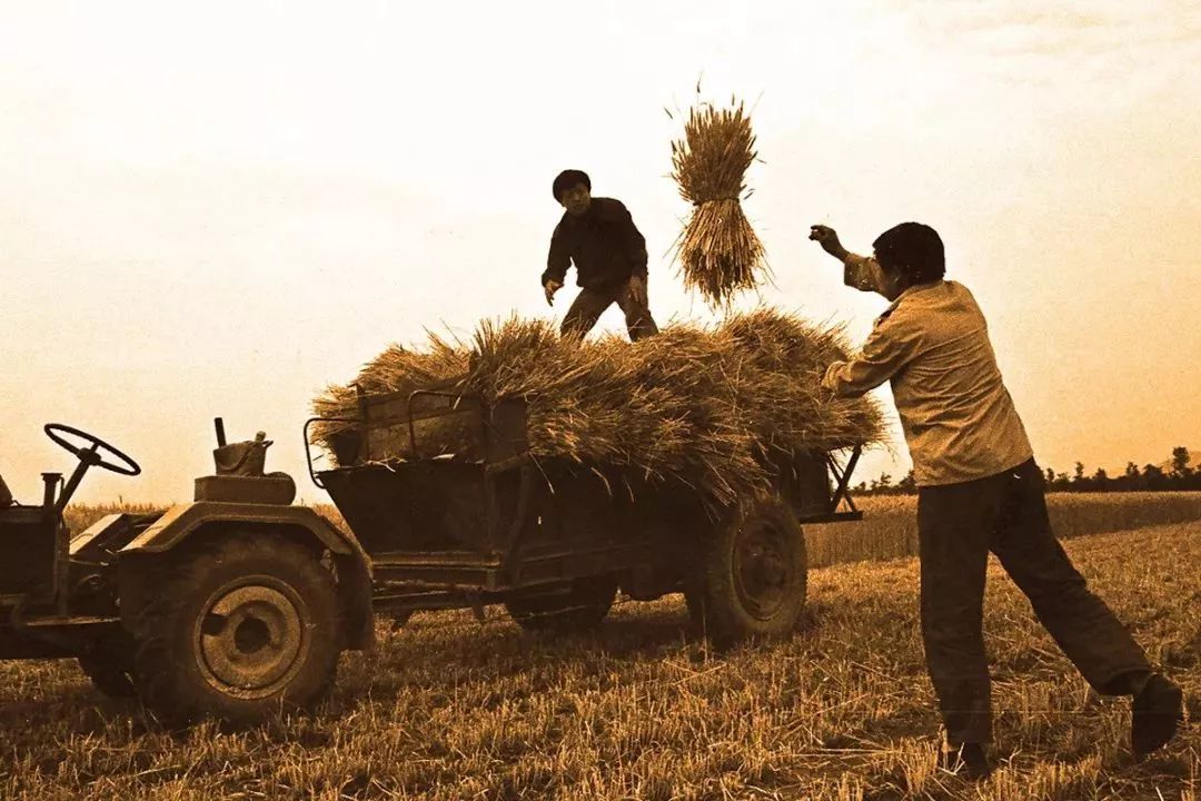 在驻马店做这件事,一经发现罚款,拘留!早知道心里有数