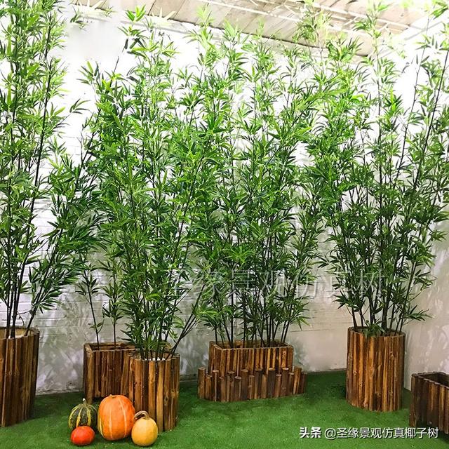 圣缘景观仿真竹子清幽竹林在端午节探访竹子的秘密