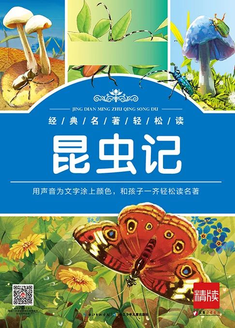 经典名著轻松读昆虫记no12条纹蜘蛛