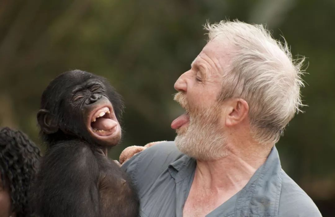 你以为你长大了,其实照样皮得像个小屁孩