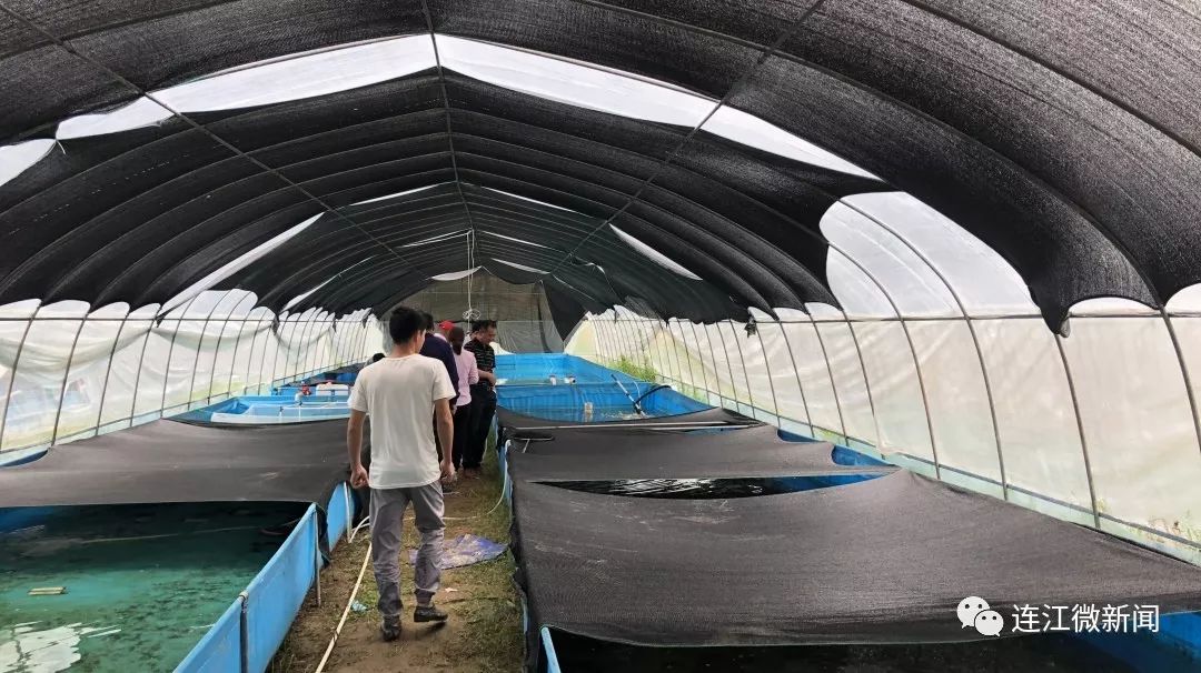 淡水龙虾养殖成功主要以天敌防控为主,比如蜻蜓幼虫,还有一些水蜈蚣