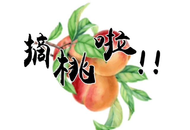 640_438gif 动态图 动图