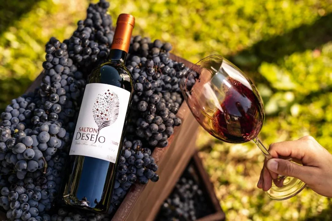 635巴西酒协首次参展interwine邀您品味不一样的热情巴西