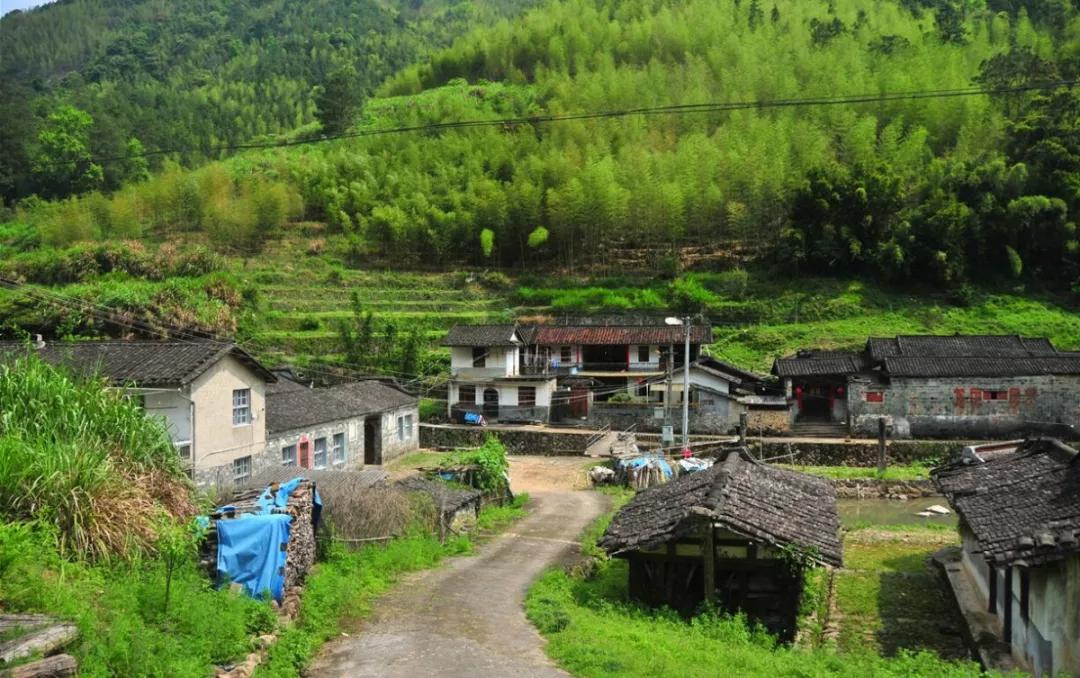 梅村村,位于新罗区万安镇北部,村中名胜古迹有梅村头"古居民建筑"