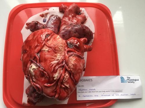 你以为这是一个巧克力小蛋糕?