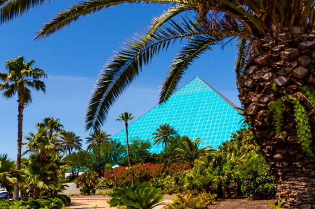 留住孩子最美的笑脸加尔维斯顿岛亲子度假游攻略