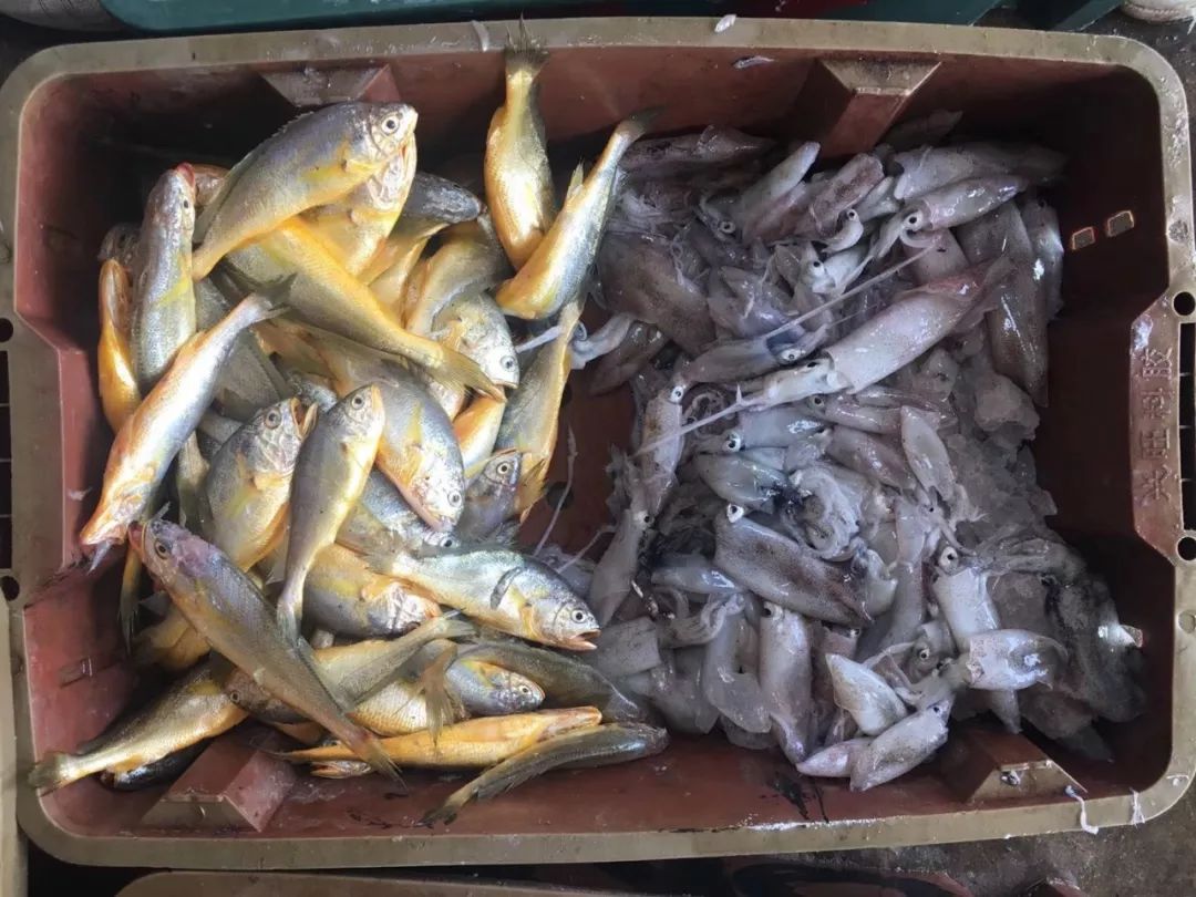 走进这里,感受跟"渔"有关的乡土气息