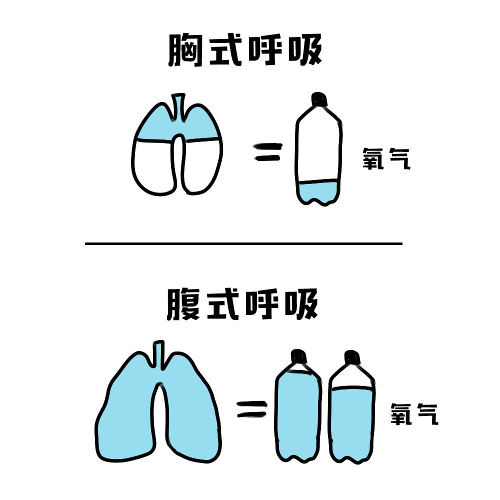 胸式呼吸方法图片