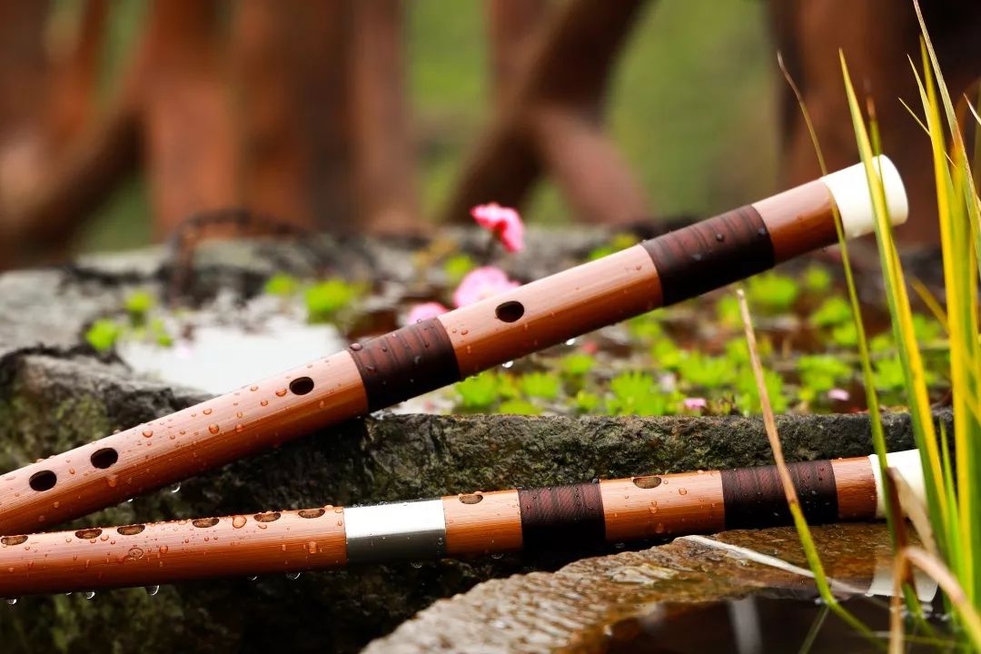 言竹不知何处笛并起一声中