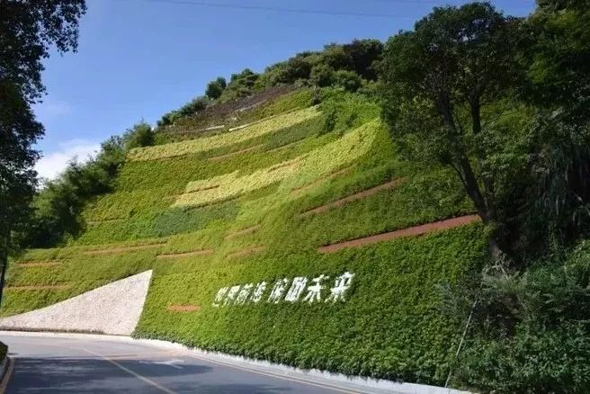 生态绿化护坡施工工艺