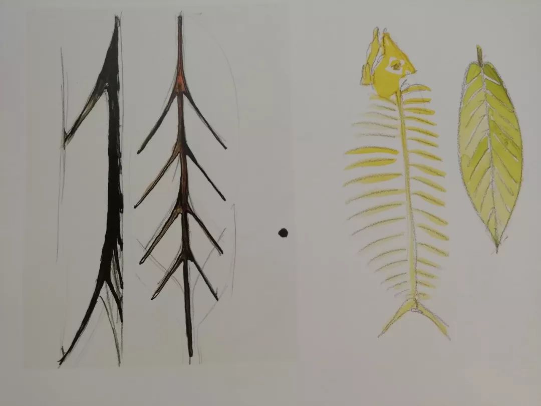 圣地亚哥 · 卡拉特拉瓦 | 披着"结构师和建筑师皮"的艺术家