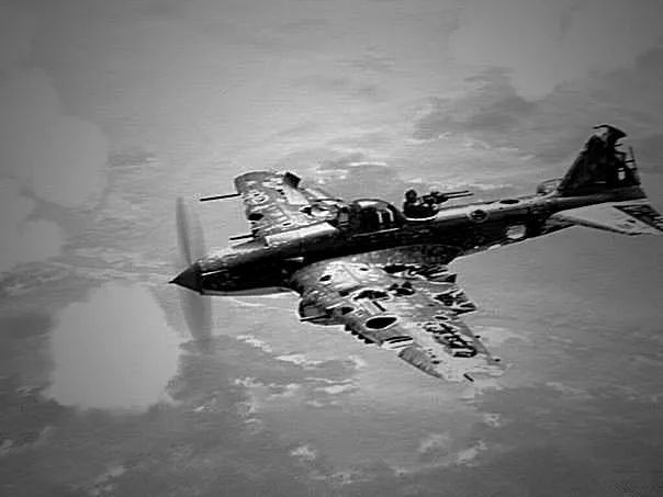 空中世界二战最后老头图片