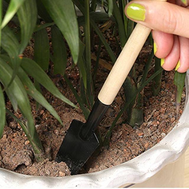 盆土硬板结块来点松土剂松成海绵养花好