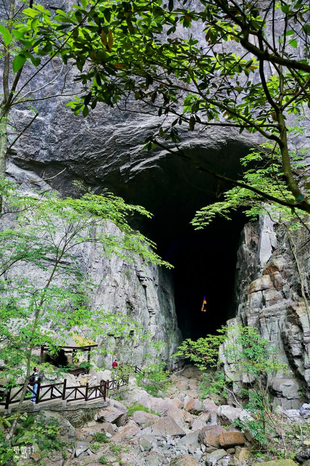 原创武陵山区最大的原始森林有世界上极为少见的穿洞天坑却鲜少人知