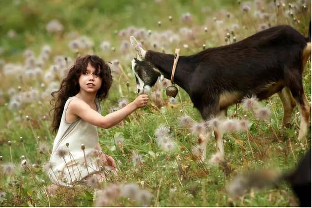 好戏丨纯粹,治愈,泪目……这或将是5月口碑最高的电影!_海蒂