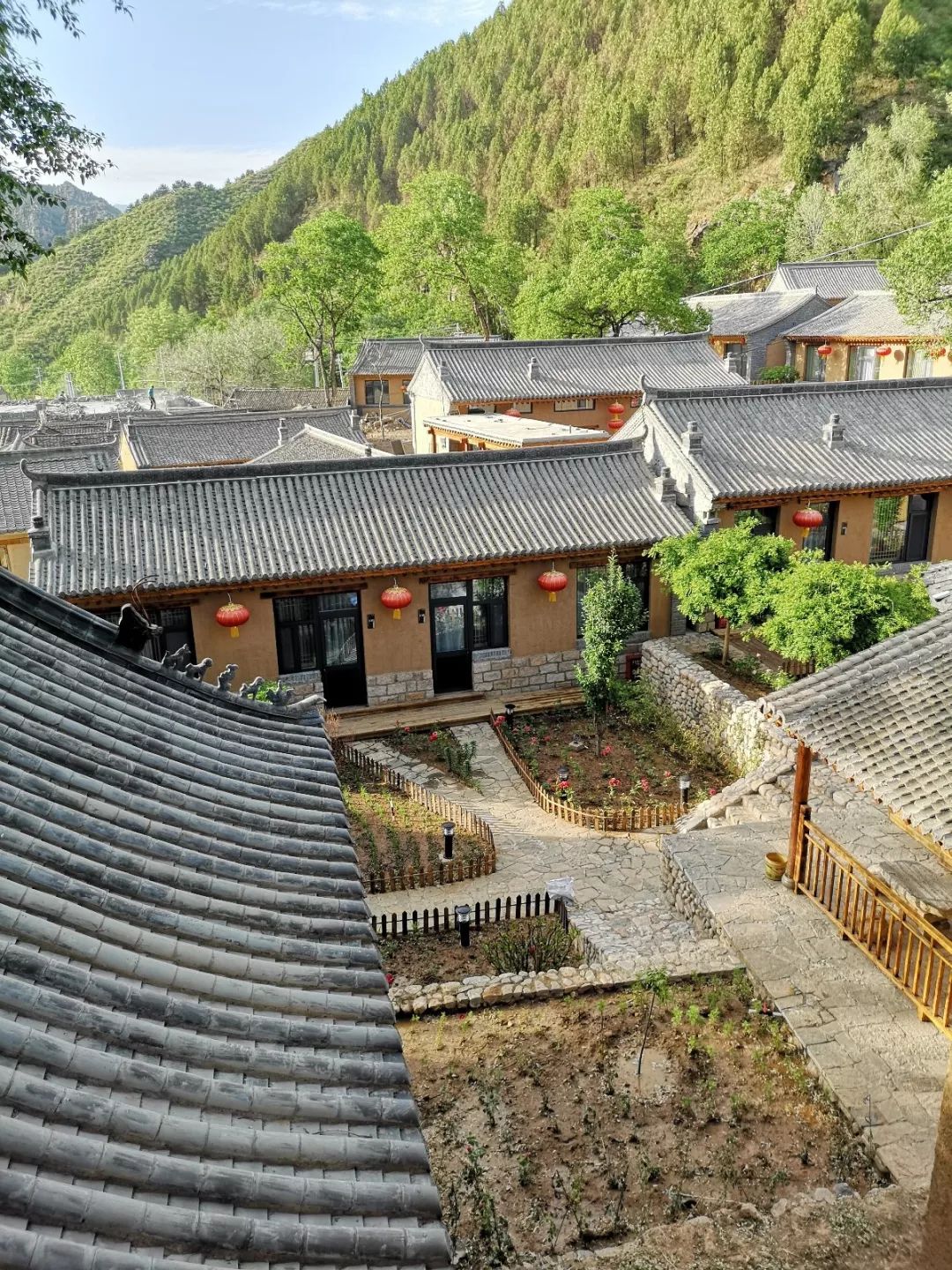 致富还得自己干笑声响遍骆驼湾