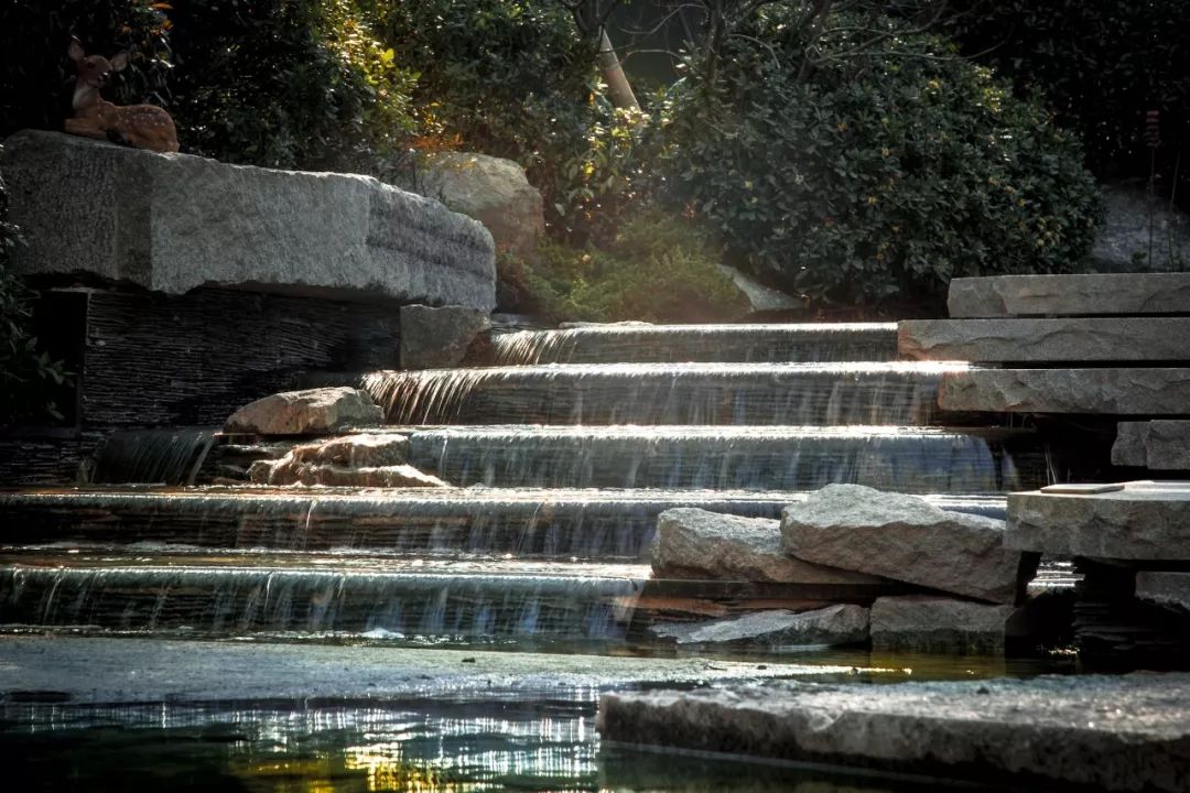 ▼叠水边的烟波光影变化▼叠石细节▼临流山野氛围溪香:"清溪芳渚跃